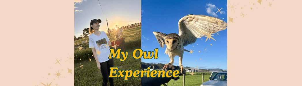 My owl experience - incorporating nature in children's books. Birds and wildlife.