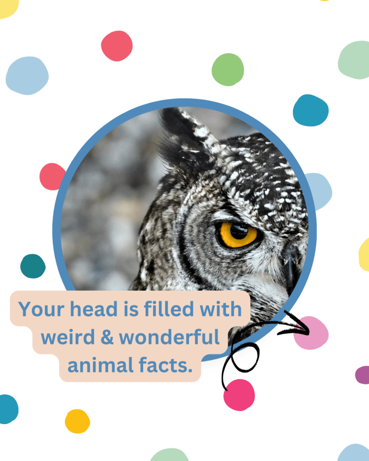 Amazing animals facts for kids.
