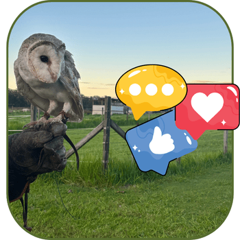 Learn more about this Australian author. Sunshine Coast Queensland writer. Jayne McIntyre.