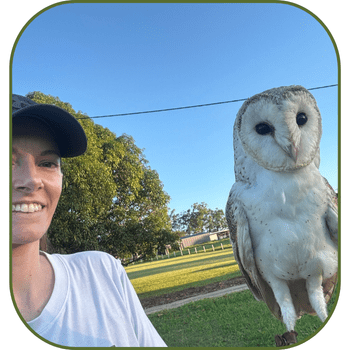 Behind the scenes writing tips and home office ideas. Journey from manuscript to publication. Writer blog.